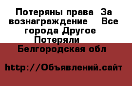 Потеряны права. За вознаграждение. - Все города Другое » Потеряли   . Белгородская обл.